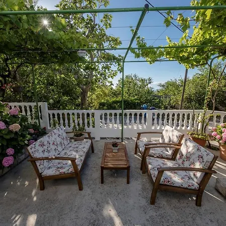 House Predrag