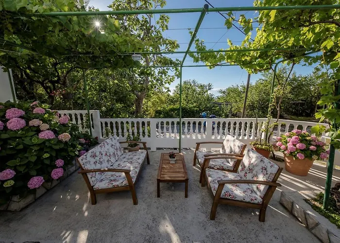 House Predrag